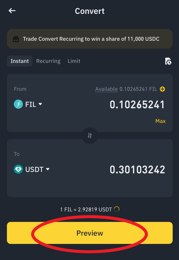 Preview Interface of Crypto Swaps on Binance Convert