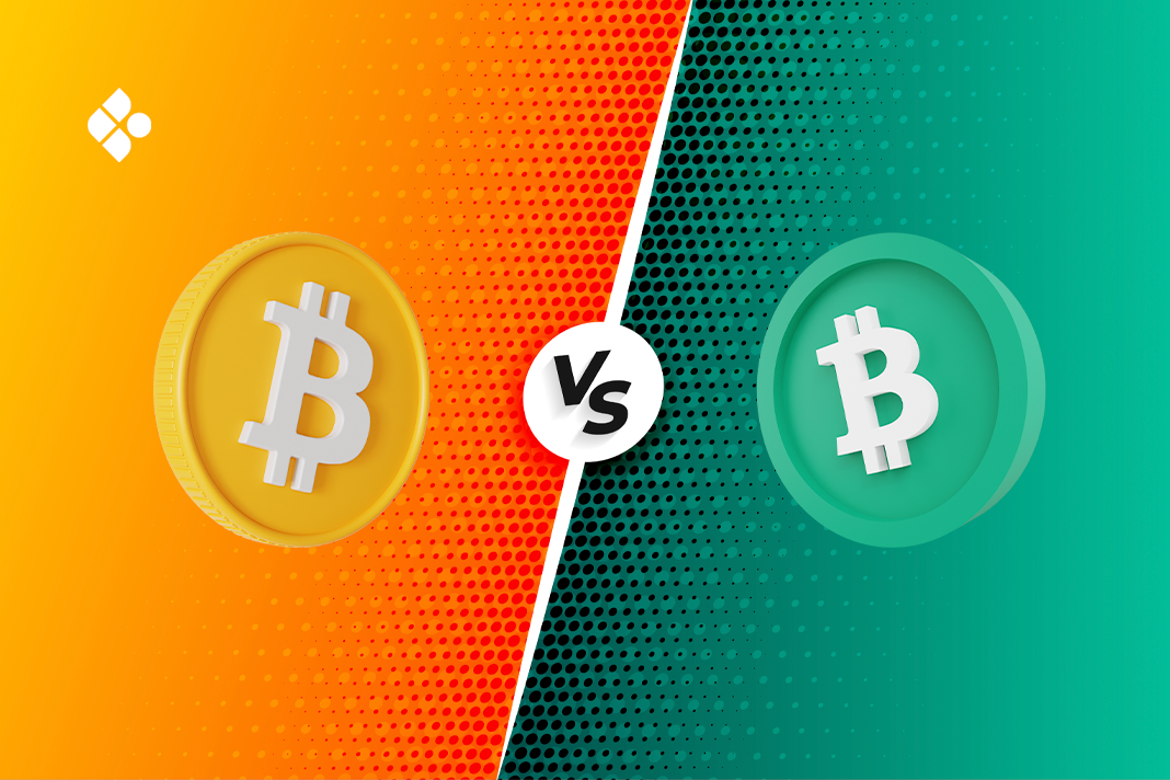 Bitcoin vs. Bitcoin Cash: The Key Differences
