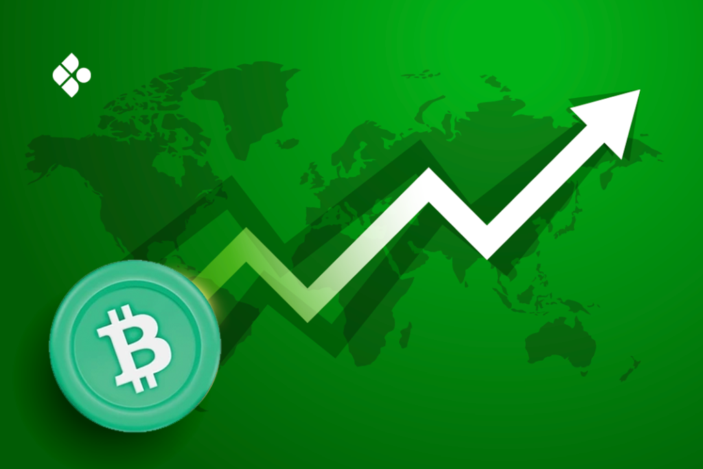 Steps to Start Profitable Bitcoin Cash Investment Journey
