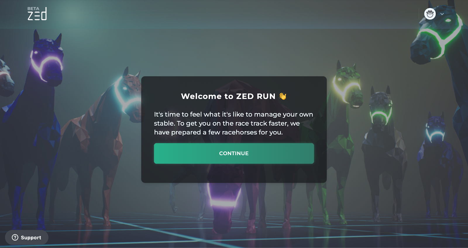 zed run
