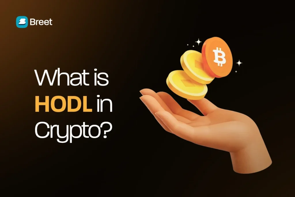 HODL meaning in crypto