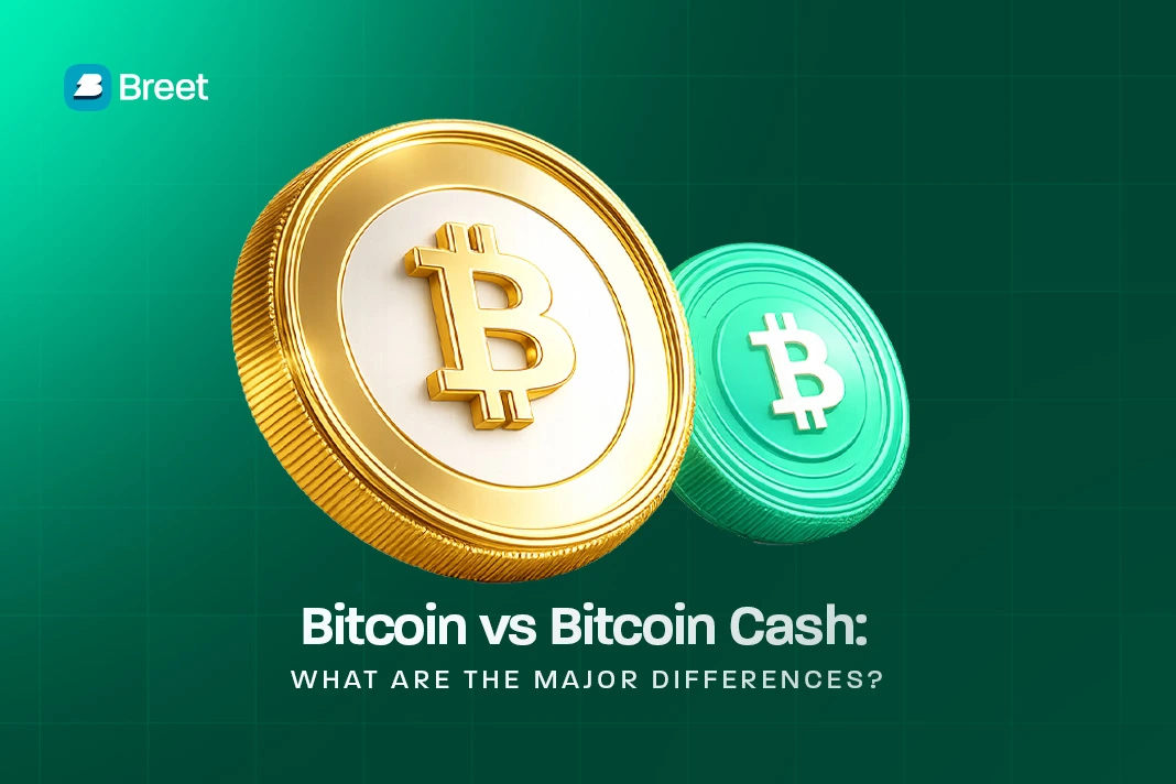 bitcoin vs bitcoin cash