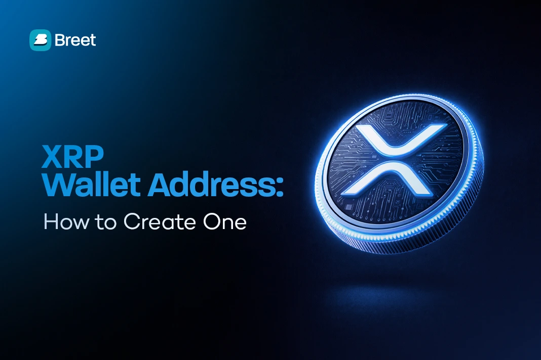xrp wallet address