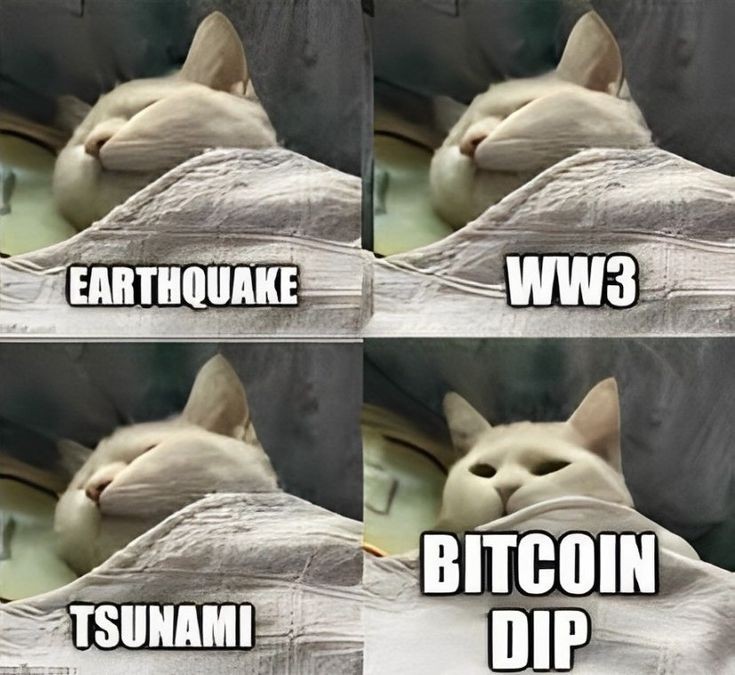 Earthquake vs. Bitcoin Dip